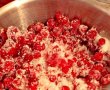 Prăjitură cu mousse de coacăze-0