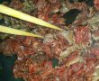 Carne de vită cu ceapă - reteta chinezeasca-3