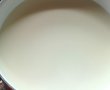 Branza proaspata din lapte de vaca-0