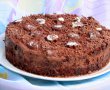 Tort Ciocolatos-2