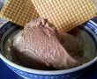 Inghetata cremoasa cu cacao si ciocolata-6