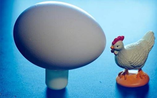 Raspunsul stiintific pentru intrebarea "Ce a fost mai intai: oul sau gaina?"