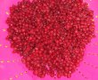 Prajitura ninsa cu strugurei rosii, seminte de chia si de canepa-1