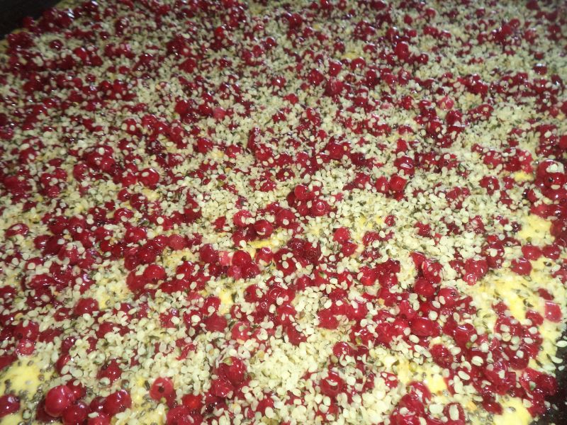 Prajitura ninsa cu strugurei rosii, seminte de chia si de canepa