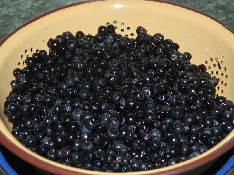 Dulceata de afine