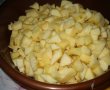 Desert prajitura cu mere, biscuiti si budinca (fara coacere)-2