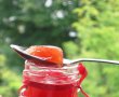 Dulceata de pepene rosu-1