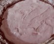 Tort cu crema de caise, fructe de padure si lamaie-15