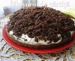 Desert tort musuroi de cartita-1