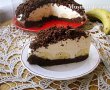 Desert tort musuroi de cartita-6