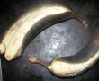 Banana bread- Chec cu banane-6