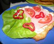 Placinte sandwich-5