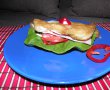 Placinte sandwich-6