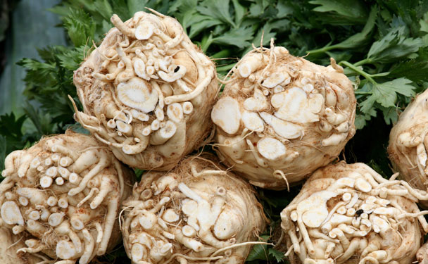 Telina, una din legumele preferate ale sezonului rece - Sfaturi despre nutritie oferite de Doamna Dr. Mihaela Gologan