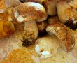 Tocanita din ciuperci de padure-4