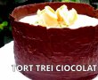 Tort TREI CIOCOLATE-6
