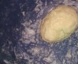 Tarta cu mozzarella si ciuperci-1