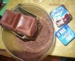 Chec ciocolatos Gradina-11