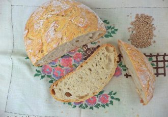 Paine alba rustica