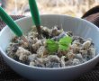 Salata de pui cu ciuperci-3