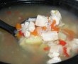 Ciorba de pui cu legume la slow cooker Crock-Pot-3