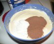 Prajitura cu praf de ciocolata si bilute de branza de vaci-1