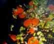 Merlan in sos de smantana cu praz si morcov-2