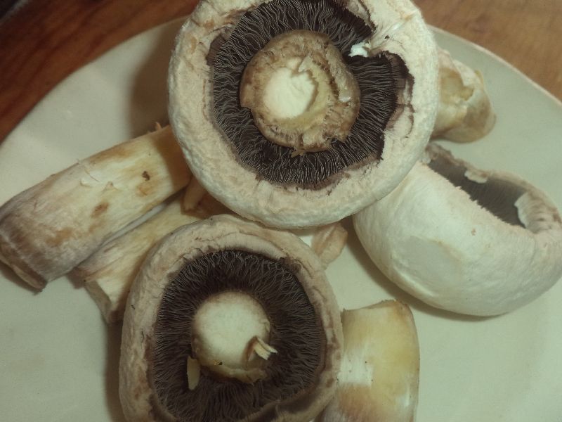 Carne cu ciuperci la cuptor si legume la tigaie