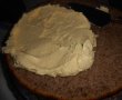 Tort Paste 2016-16
