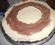 Tort Paste 2016-17