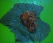 Sarmale de pui in frunze de vita de vie-2