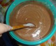 Tort Vis de ciocolata-2