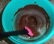 Tort Vis de ciocolata-8