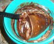 Tort Vis de ciocolata-10