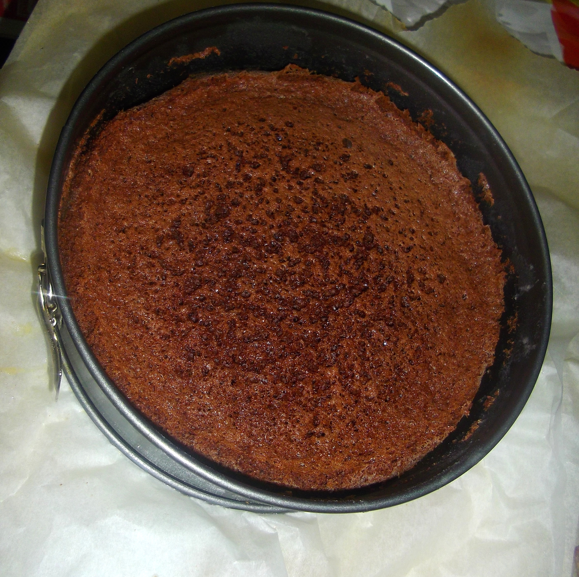Tort Vis de ciocolata