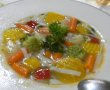 Supa cu vegetale si taitei de orez-15