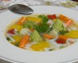 Supa cu vegetale si taitei de orez-19