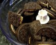 Cheesecake cu mousse de ciocolata (fara coacere)-7