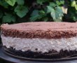 Cheesecake cu mousse de ciocolata (fara coacere)-18