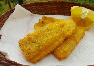 File de pangasius in crusta de malai