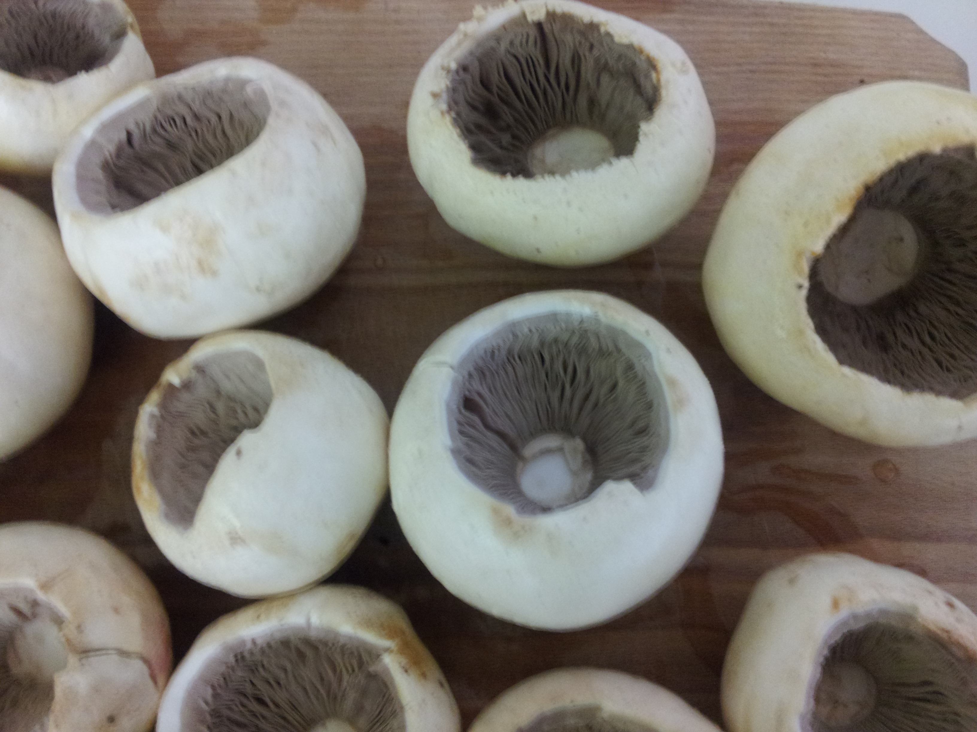 Ciuperci umplute cu somon și parmezan