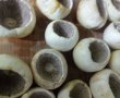 Ciuperci umplute cu telemea și mărar-0