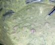 Vafe- Gaufres sarate cu broccoli-2