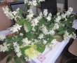 Sirop din flori de iasomie-0