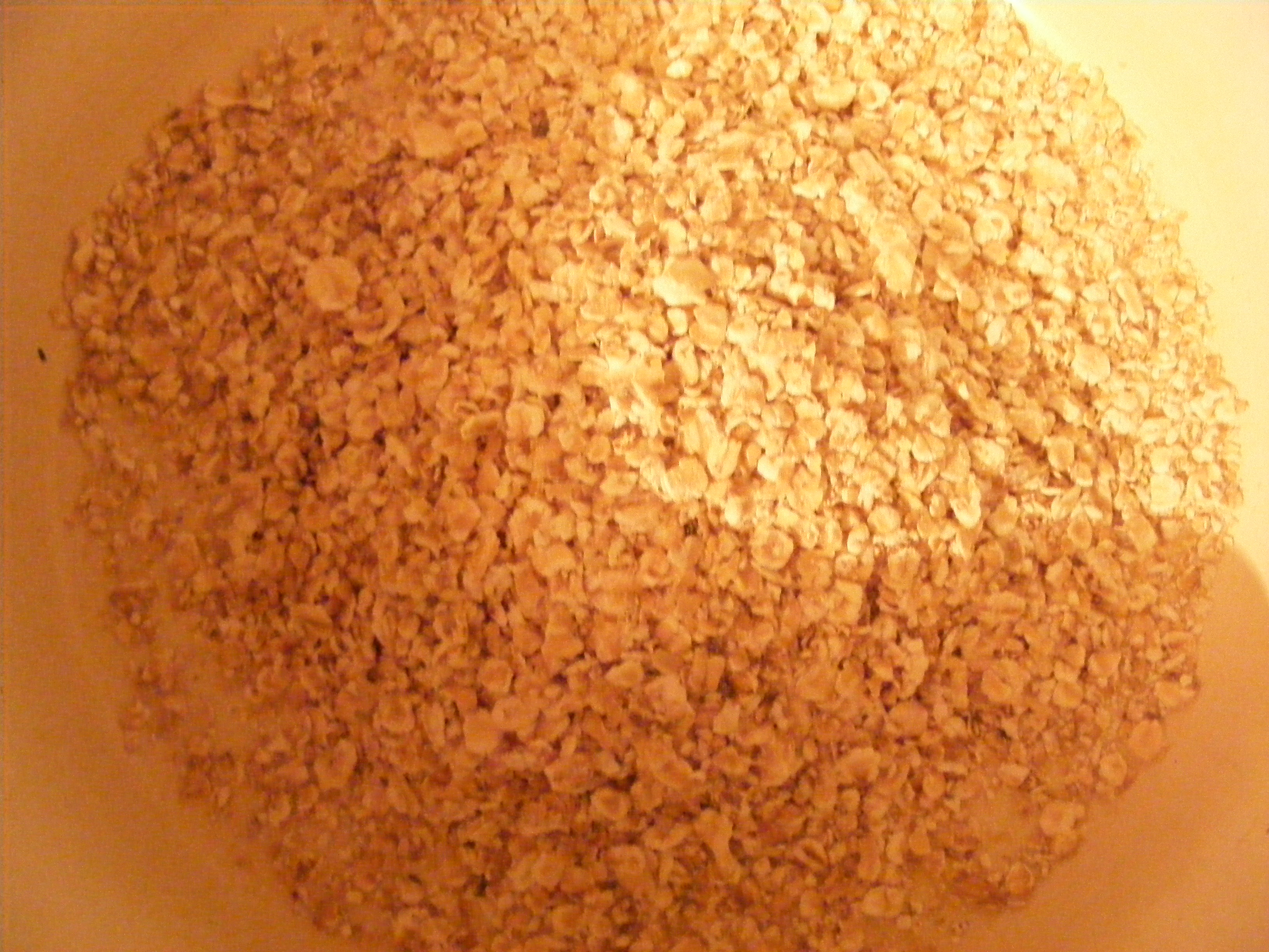 Porridge - Budinca de ovaz cu miere si capsuni