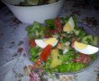 Salata orientala de vara-9