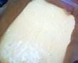 Prajitura cu cirese si crema de vanilie-12