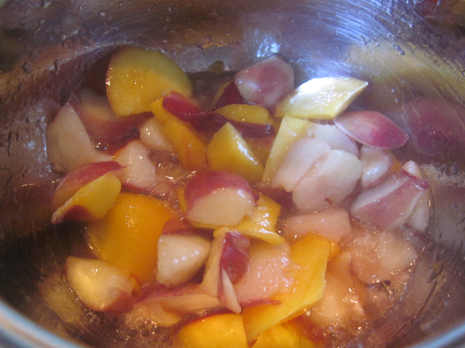 Budinca din perle tapioca cu sos de mango si nectarine
