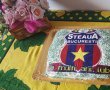 Tort Steaua (1000 retete)-0