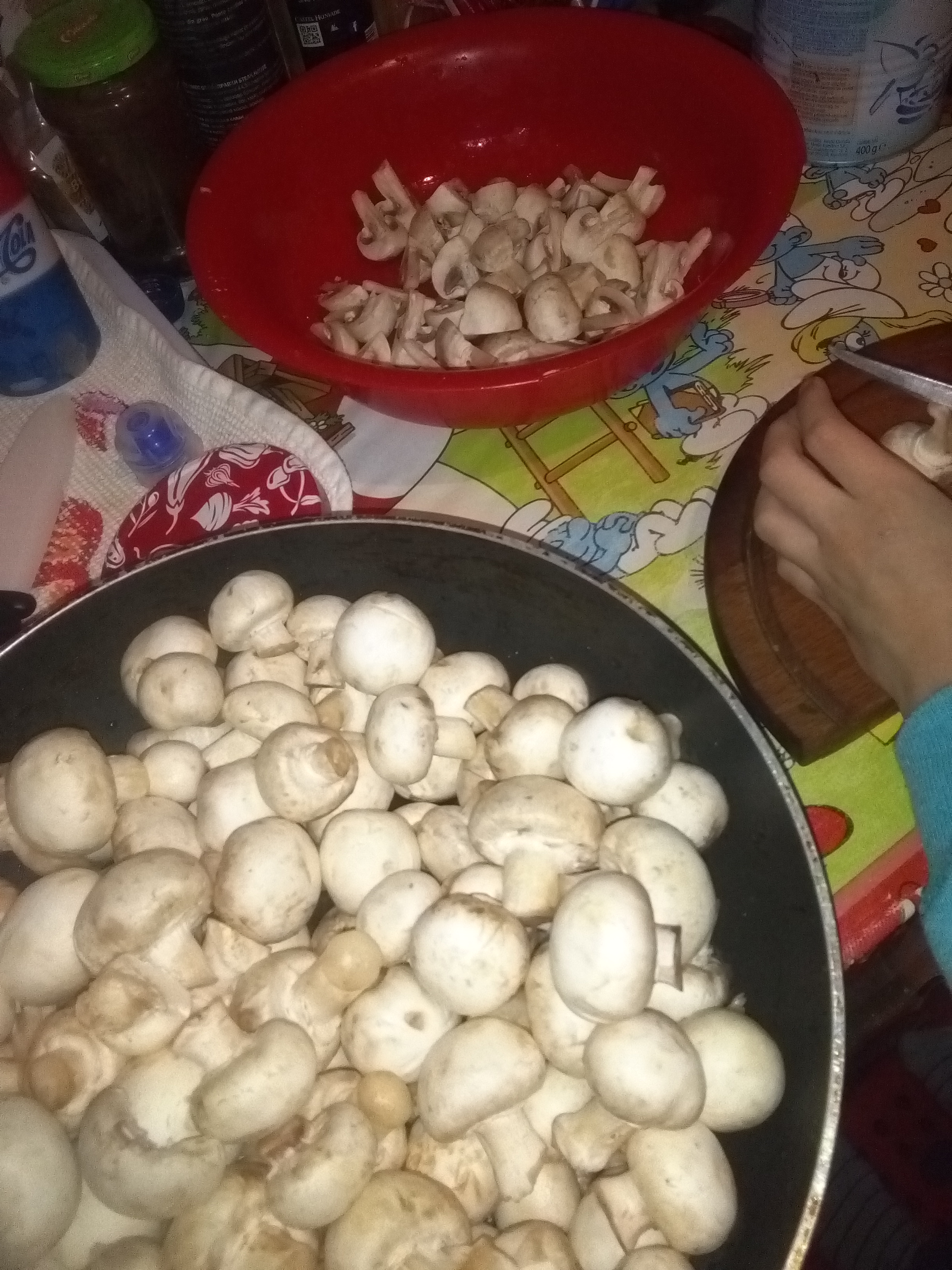 Tocanita de ciuperci cu pui